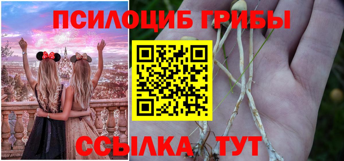 Галлюциногенные грибы ЛСД  даркнет сайт  Псилоцибиновые грибы Psilocybine cubensis  Кыштым  Вход с VPN 